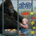 暗夜读者 - 52 勇敢的小乌龟