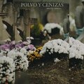 Polvo Y Cenizas