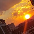 凡燕 - 光