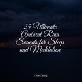 25 Ultimate Ambient Rain Sounds for Sleep and Meditation
