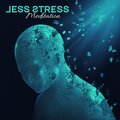Relieving Stress Music Collection、Oasis of Relaxation and Meditation - Find Out Your Destiny