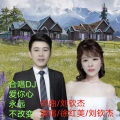 徐红美 - 合唱DJ深情版-爱你的心永远不改变 (Live)