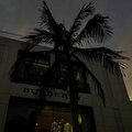 dxn1el18、Lovell - quarentine mood (feat. dxn1el18)(Explicit)