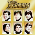 Los Kjarkas、Gonzalo Hermosa、Ulises Hermosa - Camino de la Montaña