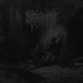 Pyracantha - The Bleak