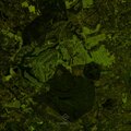Riffle Shuffle - Lipsi