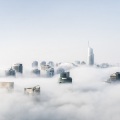 圈妹、苏可可、虞姬、安小能 - 你的答案