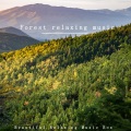 beautiful relaxing Music box - Tyndall