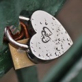 Iron Heart