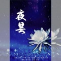 弈心岚 - 夜昙