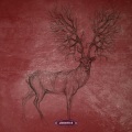 Basic Shapes - Further Implications