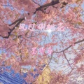 墨晴鸢 - 风过谢桃花