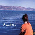 一杯陈豆浆 - Amani