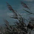 Spa Music Collective、Musica Relajante、Powerthoughts Meditation Club - A Stroll in Winter