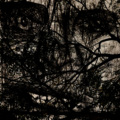 Sewerslvt、Yves Tumor - Jackie (Sewerslvt Remake)