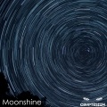 Cryptesium - Moonshine