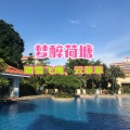 踏雪飞鹰 - 梦醉荷塘