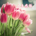 郭一臻 - 如果是对的，就别在意他人的评说