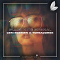 Cem Egemen、Toreadorss、Satsuma Music - Something Special