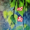 心雨