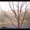 Conway - All Wrong
