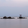 顾立平 - 这一路走来
