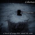 Libertas - Every Single Thing