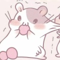 一直走