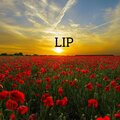 ブイティゴックラン、Hoàng Dũng - Lip