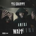 Wait (feat. TG Crippy) [Explicit]