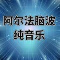 团长 - 阿尔法脑波音乐@安静舒适 07