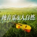 纯音乐与大自然白噪音的交织