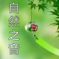 喜俩宝 - 海浪声＋鸟鸣