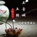 苏夏依 - 五行能量音乐（肝）之破茧属木角音