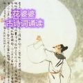 陕西花婆婆 - 1-凉州词--唐--王之涣