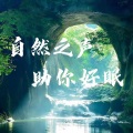 自然之声助你好眠 | 减压助眠