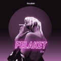 yeanix - Felaket (club remix)
