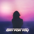 Michelle Collin、Medon、Mike Gudmann - Cry For You