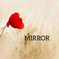 ホアンヴァンダン、Hoàng Dũng - Mirror