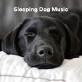 Sleepy Dogs、Music for Calming Dogs、Music for Leaving Dogs Home Alone - Space