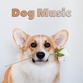 Sleepy Dogs、Music for Calming Dogs、Music for Leaving Dogs Home Alone - Calm Universe