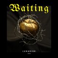 Lunarisk、Skuado - Waiting (Explicit)