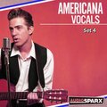 David SweetLow - Country as Cornbread