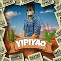 Bryan Vegas - YIPIYAO (feat. Bryan Vegas)