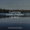 instrumental、Sleep Baby Sleep、Meditaciónessa - Heavenly fate