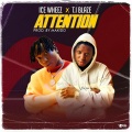 Icewheez、T.I BLAZE - Attention