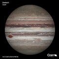 Deetech - Liquid