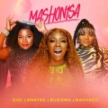 Mashonisa