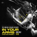 In Your Arms (For An Angel)(Robin Schulz VIP Mix)