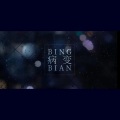 BINGBIAN病变